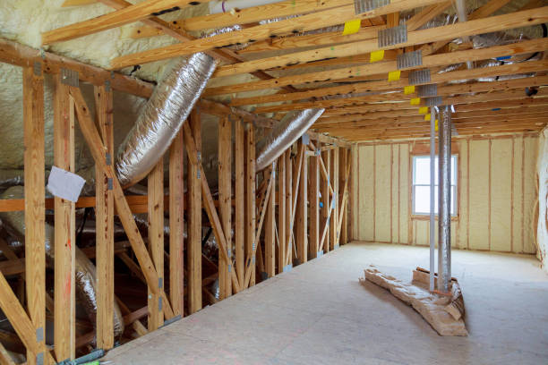 Best Insulation Removal  in Silver Lake, KS
