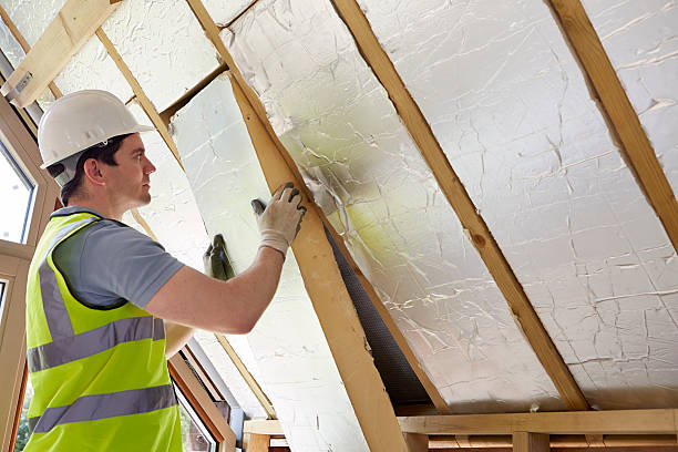Best Local Insulation Services  in Silver Lake, KS